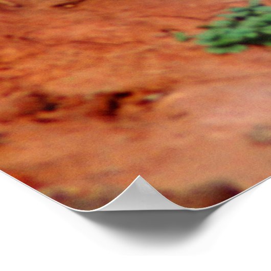 Poster Macro Stalking Leopard (Coin)