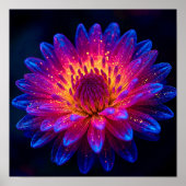 Poster Macro Stellar Burst (Devant)