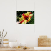 Poster Macro Tulip colorée (Cuisine)