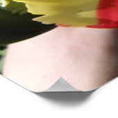 Poster Macro Tulip colorée (Coin)