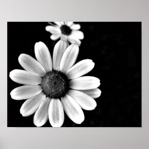 Poster macro vibrante noir et blanc photo floral