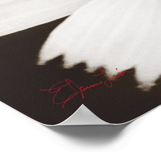 Poster Macrophotographie noir et blanc (Coin)