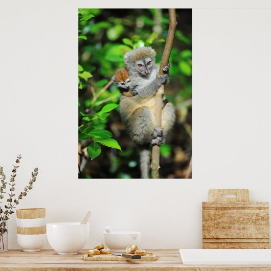 Poster Madagascar, Andasibe, Île aux Lemuriens, Mother (Cuisine)