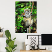 Poster Madagascar, Andasibe, Île aux Lemuriens, Mother (Bureau à domicile)