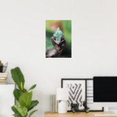 Poster Madagascar, Caméléon panthère à barre rouge (Bureau à domicile)