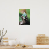 Poster Madagascar, Caméléon panthère à barre rouge (Cuisine)