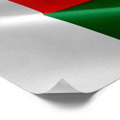 Poster Madagascar - Drapeau d'agitation - (Coin)