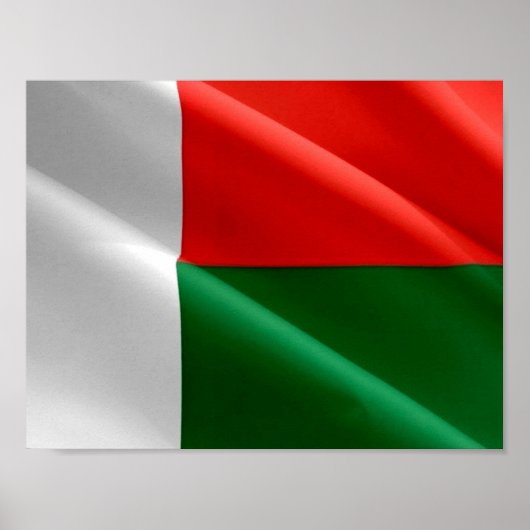 Poster Madagascar - Drapeau d'agitation - (Devant)
