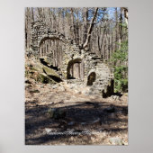 Poster Madame Sherry State Forest (Devant)