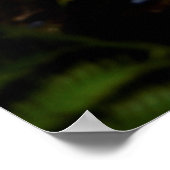 Poster Madeira Funchal Jardin botanique Portugal (Coin)