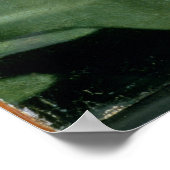 Poster Madonna (Coin)