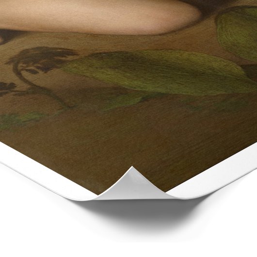 Poster Madonna dans le pré Raphael Sanzio (Coin)