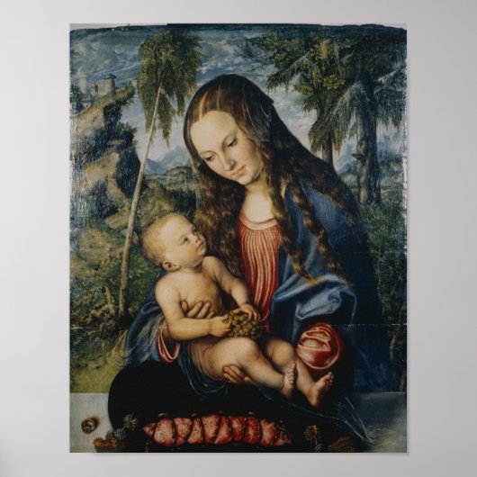 Poster Madonna sous le sapin, c.1510 (Devant)