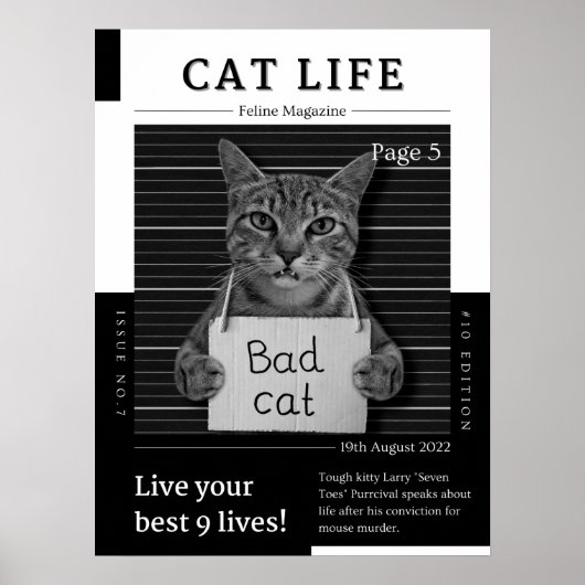 Poster Magazine CAT LIFE (Devant)
