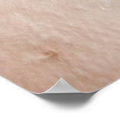 Poster Magellanic Penguin, Patagonia, Argentina (Coin)