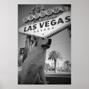 Poster Maggie - Enseigne de Las Vegas