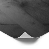 Poster Maggie - Las Vegas Sign (Coin)