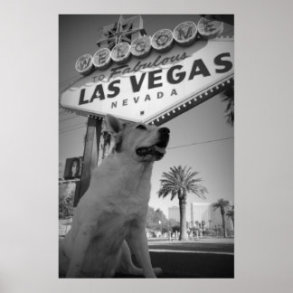 Poster Maggie - Las Vegas Sign