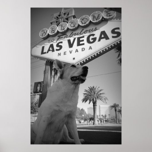 Poster Maggie - Las Vegas Sign (Devant)
