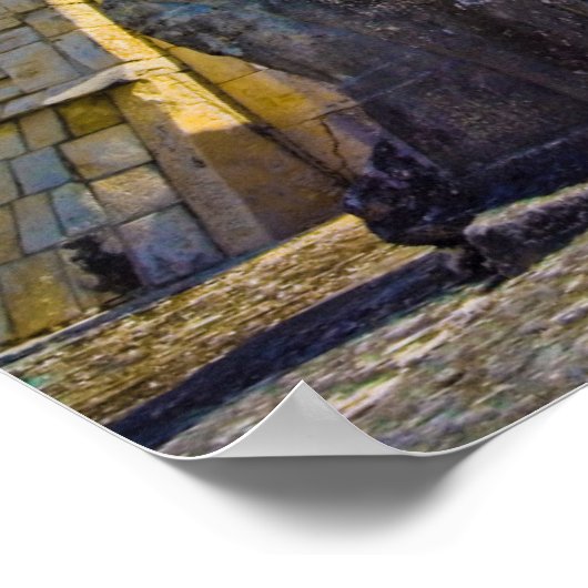 Poster Magic Warrior (Coin)