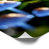 Poster Magical Bioluminescent Fungi - Deep Forest (Coin)