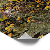 Poster Magie d'automne (Coin)