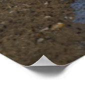 Poster Magie d'hiver sur la rivière Athabasca (Coin)