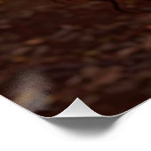POSTER MAGIE DU CACAO (Coin)