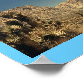 Poster Magie du désert (Coin)