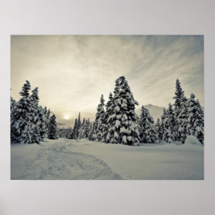 Poster Magie hivernale