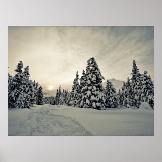 Poster Magie hivernale (Devant)