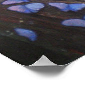 Poster Magie Rainforest (Coin)