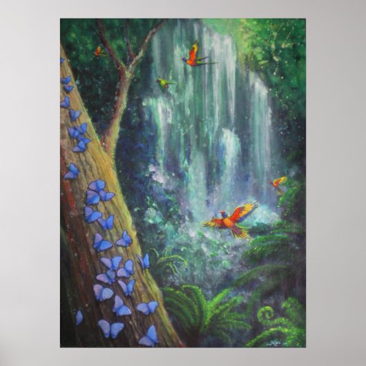 Poster Magie Rainforest (Devant)