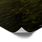 Poster magique de libellules (Coin)