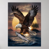 Poster Magnifique aigle qui s'élance sur un poisson (Devant)