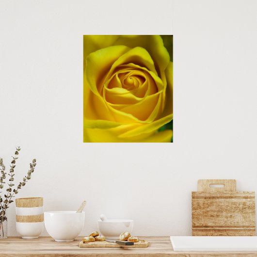 Poster Magnifique image macro rose jaune (Cuisine)