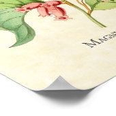 Poster Magnifique Imprimerie d'Oiseaux de Mince (Coin)