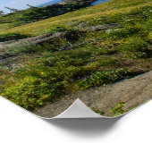 Poster Magnifique lac Yellowstone (Coin)