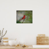 Poster Magnifique M. Cardinal (Cuisine)