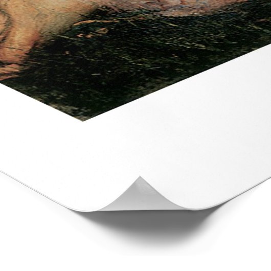 Poster Magnifique Mermaid D'Art Victorien Imprimé (Coin)