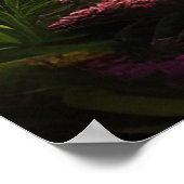 Poster Magnifique paysage tropical de l'île du Pacifique  (Coin)