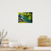 Poster Magnifique Peacock Images (Cuisine)