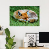 Poster Magnifique peinture numérique d'un renard endormi (Bureau à domicile)