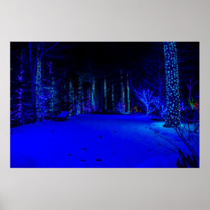 Poster Magnifique période de Noël 36 x 24 Papier d'archiv