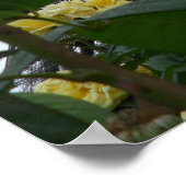 Poster Magnifique Photo Tour Eiffel Paris Roses Jaunes (Coin)