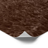 Poster magnifique récupérateur Labrador (Coin)