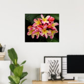 Poster magnifique rose et jaune Plumeria (Bureau à domicile)