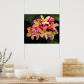 Poster magnifique rose et jaune Plumeria (Cuisine)