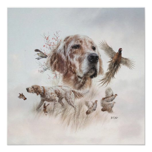 Poster Magnifique Setter , Art (Devant)