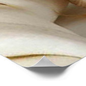 Poster Magnifique Yorkshire Terrier (Coin)